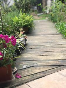 Garden sa labas ng Todo se transforma