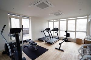 Fitness centrum a/nebo fitness zařízení v ubytování The Roseate Reading