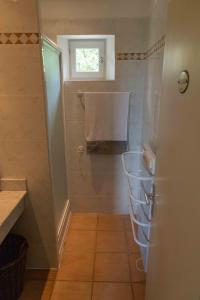baño pequeño con ducha y lavamanos en Gordes Le Bastidon, en Gordes