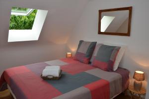 um quarto com uma cama com um espelho na parede em LA MAISON DE BIORD em Saint-Jacut-de-la-Mer