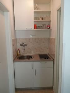 Kuchyň nebo kuchyňský kout v ubytování Apartment Fortuna