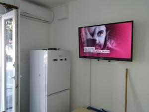 TV a/nebo společenská místnost v ubytování Apartment Fortuna