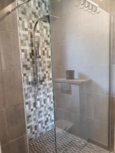a shower with a glass door in a bathroom at Chambre d'hôtes du Pin in Pey