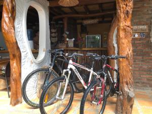 Jízda na kole v ubytování Hostal Rutamar nebo okolí