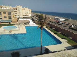 a large swimming pool with a palm tree next to a building at El Cuchitril in Almería