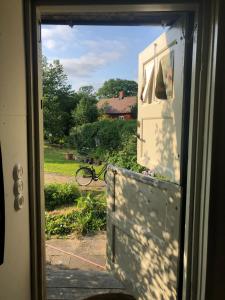 Zahrada ubytování Harrys Hardware Home