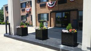 três contentores pretos cheios de flores em frente a um edifício em Hatfield Inn em Leitchfield