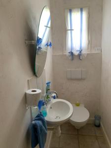 a bathroom with a sink and a mirror and a toilet at Villa Les Hortensias B&B in Arcangues