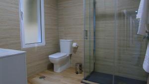 a bathroom with a toilet and a glass shower at PENSION OVIEDO in Oviedo