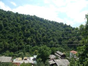 a large hillside with trees on it with a town at Arami Guest House in Dilijan