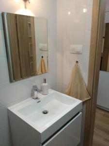 W łazience znajduje się biała umywalka i lustro. w obiekcie Apartmán ALEX w Popradzie