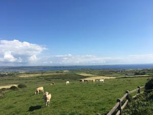 Loodusmaastik of the bed and breakfast lähedal