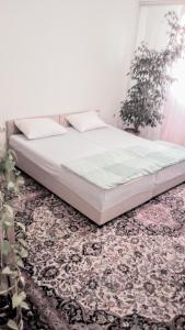 - un lit dans une chambre avec un tapis dans l'établissement Apartment Alipašino, à Sarajevo