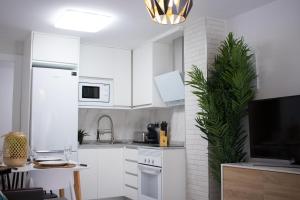 贝尼多姆APARTAMENTO EN EL CENTRO A UN MINUTO DE LA PLAYA的一间厨房,里面装有白色的橱柜和植物