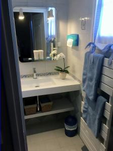 La salle de bains est pourvue d'un lavabo et d'un miroir. dans l'établissement Villa Les Hortensias B&B, à Arcangues