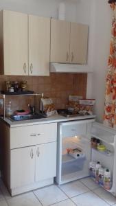 Kuchyň nebo kuchyňský kout v ubytování Potokia Rooms