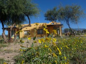 a house in the middle of a field of flowers at Los Remenizos Cabañas de Montaña in Belén