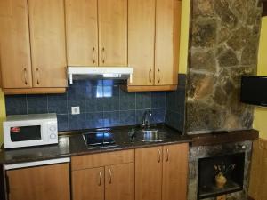 cocina con fregadero y microondas en Alojamientos Rurales El Fontano, en Galende