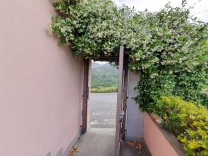 una puerta abierta con una planta de flores al lado de un edificio en SESTRI Villa Vignolo with POOL, en Sestri Levante