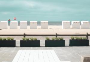 a row of plants inront of the beach at Studio Koksijde in Koksijde