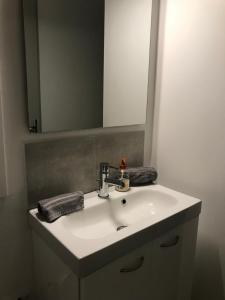 een badkamer met een wastafel en een spiegel bij Studio 5 Near Basel Airport in Saint-Louis