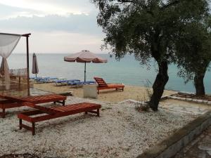 a beach with two benches and an umbrella and a tree at Marti Resort in Skala Sotiros