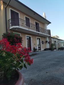 The building in which a panziókat is located