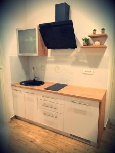 Kuchyň nebo kuchyňský kout v ubytování Studio apartman Villa Gianna