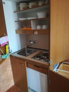 Kuchyň nebo kuchyňský kout v ubytování Apartmani Ujdur