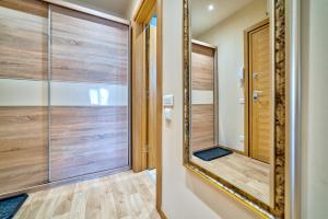 a large mirror in a bathroom with a walk in shower at Apartman Vasilisa Kalman in Zlatibor +26 photos