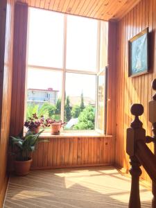 a room with a window with potted plants in it at Green house Ureki in Ureki