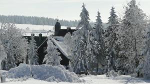 a snow covered forest of trees with a train at Hotel Bozi Dar - Excalibur in Boží Dar