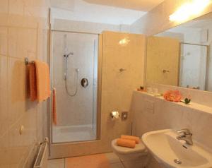 a bathroom with a shower and a toilet and a sink at Pension am Großen Garten in Dresden