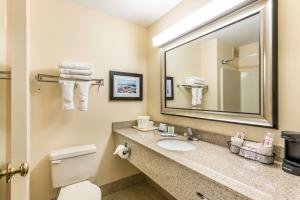 a bathroom with a sink and a mirror and a toilet at Quality Inn Huntersville near Lake Norman in Huntersville