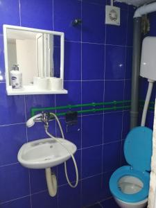 een blauwe badkamer met een wastafel en een toilet bij Aleksandar in Sutomore