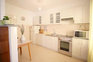 Kuchyňa alebo kuchynka v ubytovaní Apartment Agnese