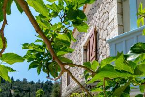 un ramo di un albero di fronte a un edificio di Averto a Città di Lefkada