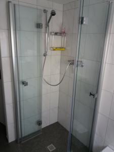 a shower with a glass door in a bathroom at Ferienwohnung Irmgard in Plein