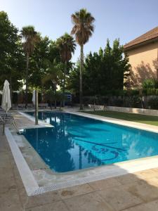 een blauw zwembad met palmbomen op de achtergrond bij Apartamentos Jardines de Lorca in Lorca