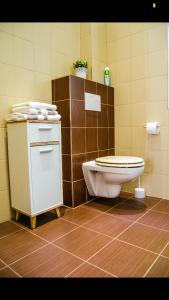 un baño con inodoro y lavabo en Apartment Vertigo, en Karlovy Vary