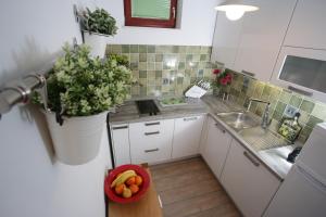 Η κουζίνα ή μικρή κουζίνα στο Charming Apartment in Primošten