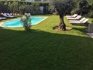 a pool with lounge chairs and a tree in a yard at Villa Louise-Rose in Villeneuve-Loubet