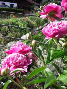 A garden outside Schmiedhof