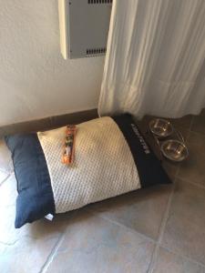 Foto dalla galleria di Agriturismo Fontevecchia a Vetulonia