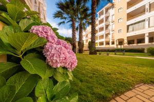 Zahrada ubytování Apartamentos Costaluz Las Dunas