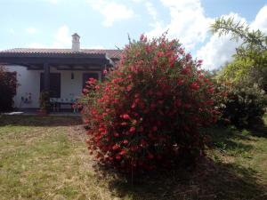 Zahrada ubytování Casa Nerelie'S