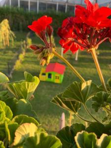 Giardino di Hotel Bannewitz B&B