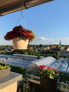 Balcone o terrazza di Hotel Bannewitz B&B