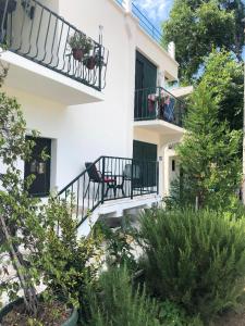 Κήπος έξω από το Apartments Afrodita