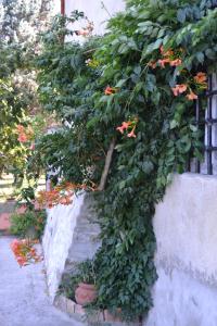 Zahrada ubytování Agriturismo La Querce